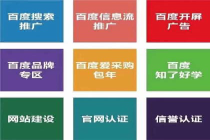 百度SEO推广案例解析与效果评估